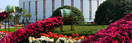 金沙娱场城8303(中国)有限公司官网