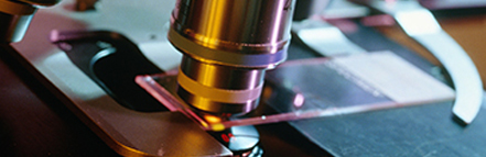 金沙娱场城8303(中国)有限公司官网